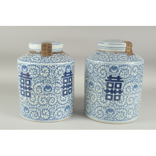 1164 - A PAIR OF CHINESE BLUE AND WHITE GINGER JAR AND COVER. 11ins high.