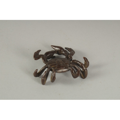 1169 - A SMALL BRONZE CRAB.  2ins.