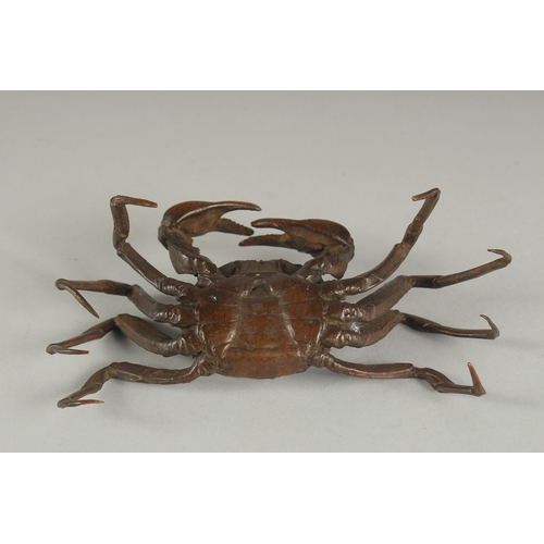 1172 - A LARGE BRONZE CRAB.  5.5ins