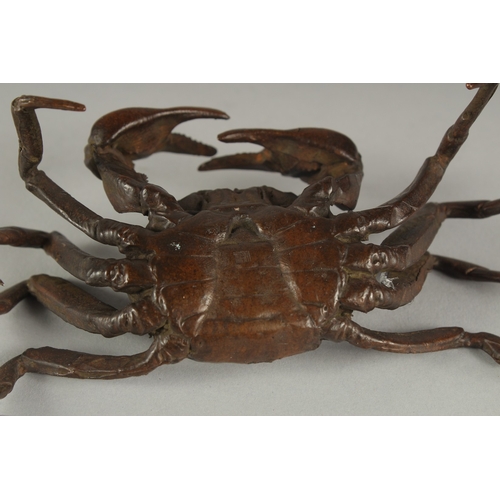 1172 - A LARGE BRONZE CRAB.  5.5ins