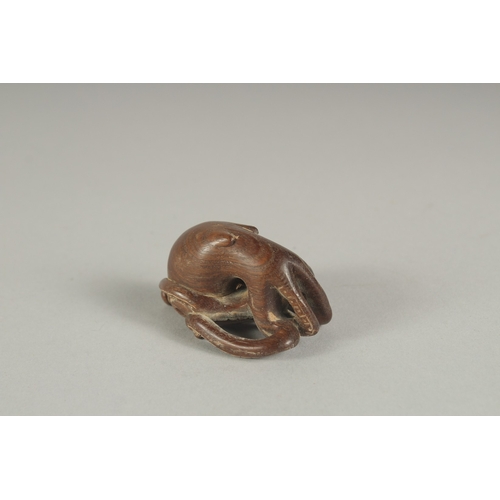 1174 - A HARDWOOD OCTOPUS NETSUKE.