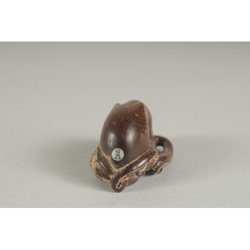 1174 - A HARDWOOD OCTOPUS NETSUKE.