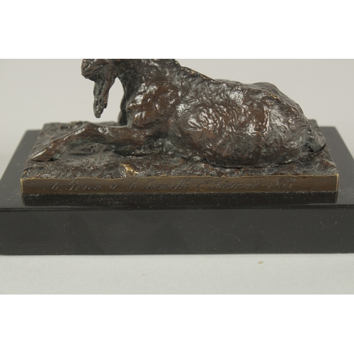 1243 - CHRISTOPHER FRATIN (1800 - 1864) FRENCH. AN EARLY CAST BRONZE GOAT RESTING, on a black marble base. ... 