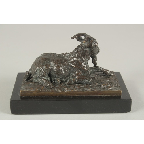 1243 - CHRISTOPHER FRATIN (1800 - 1864) FRENCH. AN EARLY CAST BRONZE GOAT RESTING, on a black marble base. ... 