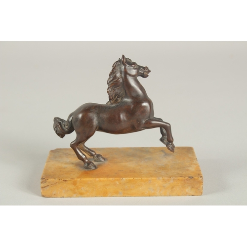 1245 - FRENCH SCHOOL (CIRCA. 1860) A SMALL BRONZE HORSE.  8cm high on a yellow marble base.