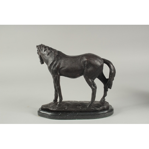 1256 - A BRONZE STANDING HORSE on a marble base. 9ins high.