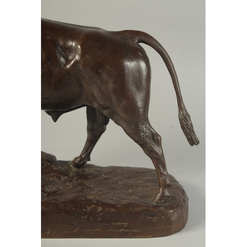 1269 - ISADORE BONHEUR (1827 - 1905) FRENCH A GOOD BRONZE FIGURE OF A BULL in majestic pose. Signed: I Bonh... 