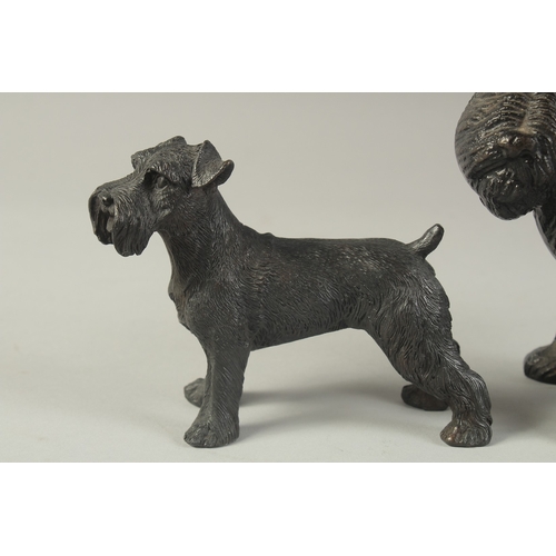 1271 - TWO CAST IRON DOGS. 7ins & 4ins.