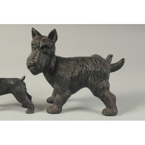 1271 - TWO CAST IRON DOGS. 7ins & 4ins.