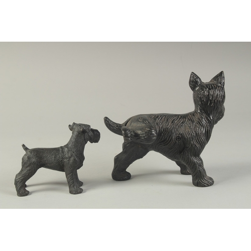 1271 - TWO CAST IRON DOGS. 7ins & 4ins.