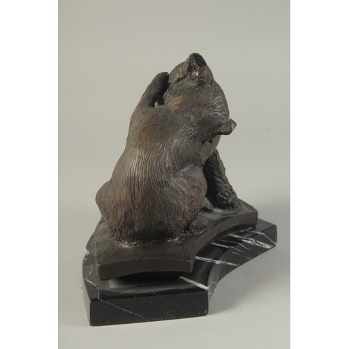 1272 - A CAST BRONZE GROUP OF TWO PLAYFUL BEARS on a  marble base. 7ins high.