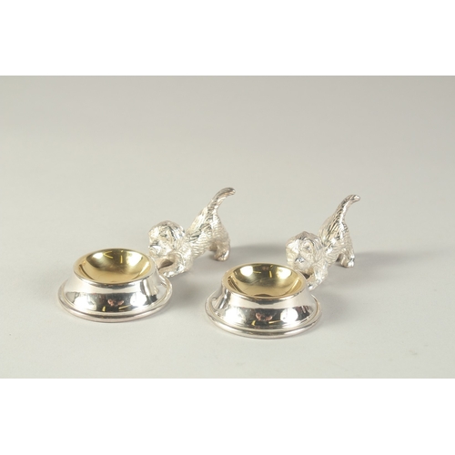 1697 - A PAIR OF SILVER PLATED SALTS modelled as puppies by  a bowl.