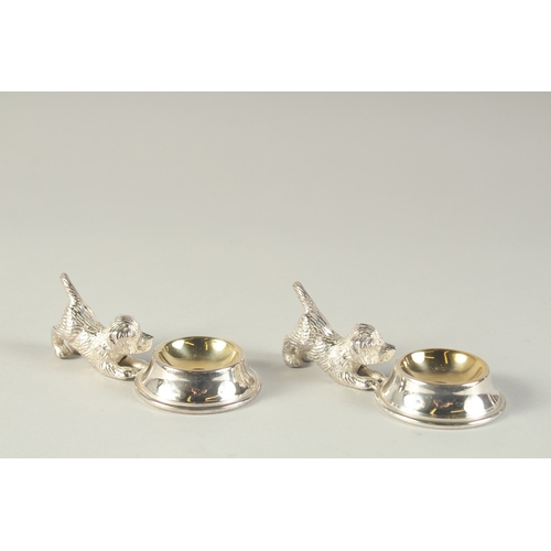 1697 - A PAIR OF SILVER PLATED SALTS modelled as puppies by  a bowl.