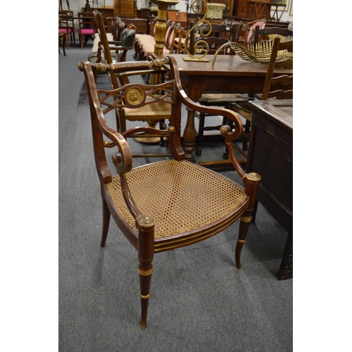 250 - A good pair of Regency design rosewood grained and parcel gilded open armchairs with cane work seats... 