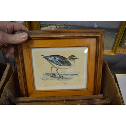 341 - Six colour prints of birds together with a picture of a young girl.