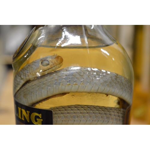 571 - A bottle of Yang Ling spirit, the bottle containing a coiled snake.