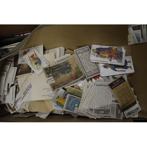 96 - A large quantity of cigarette and other collectors cards, several in albums.