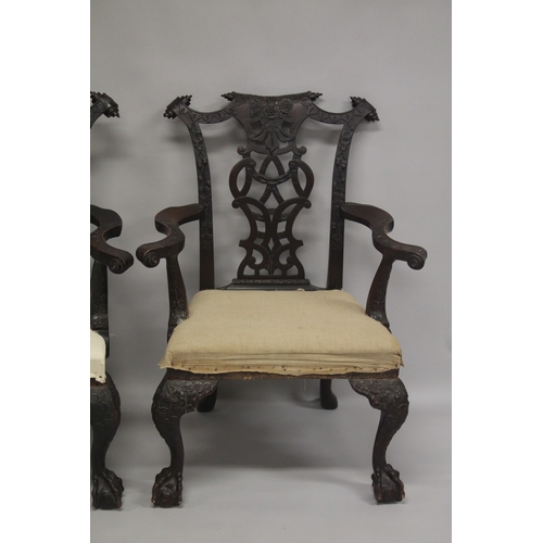 1003 - A VERY GOOD PAIR OF IRISH CHIPPENDALE MAHOGANY ARMCHAIRS CIRCA 1860, carved with oak leaves and acor... 