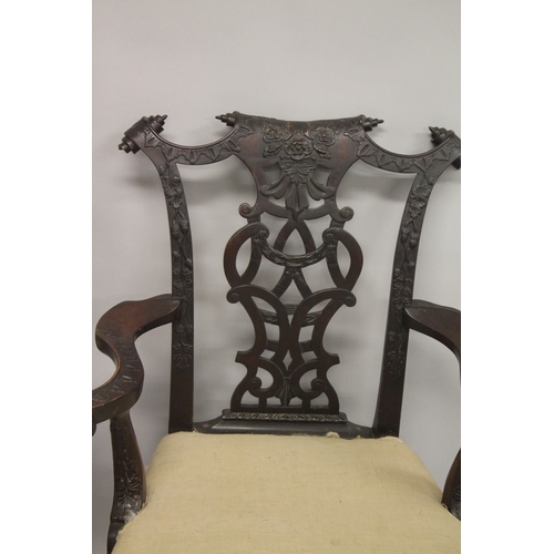 1003 - A VERY GOOD PAIR OF IRISH CHIPPENDALE MAHOGANY ARMCHAIRS CIRCA 1860, carved with oak leaves and acor... 