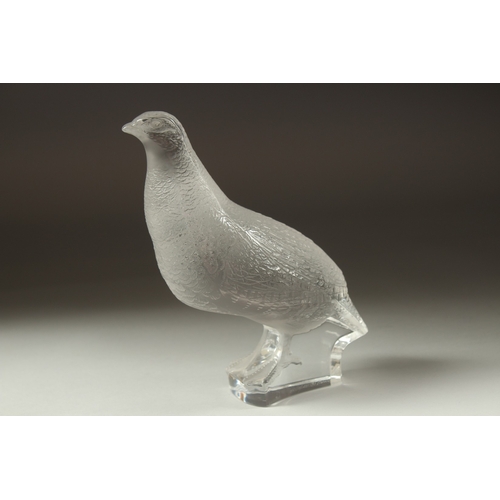 1048 - A FROSTED GLASS LALIQUE PARTRIDGE. Signed, Lalique France. 6.5ins high.