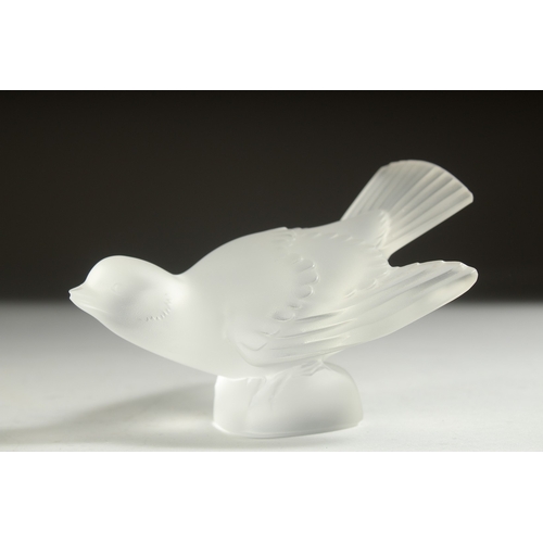 1055 - A LALIQUE GLASS BIRD. Etched Lalique France. 5.25ins high.