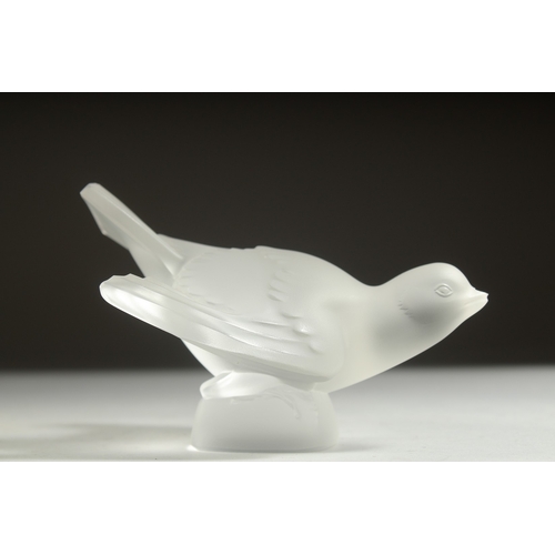 1055 - A LALIQUE GLASS BIRD. Etched Lalique France. 5.25ins high.