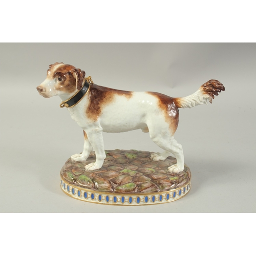 1071 - A MEISSEN MODEL OF A HUNTING DOG first modelled by Gottlob Luck. Circa. 1840.  20cm high. Cross swor... 