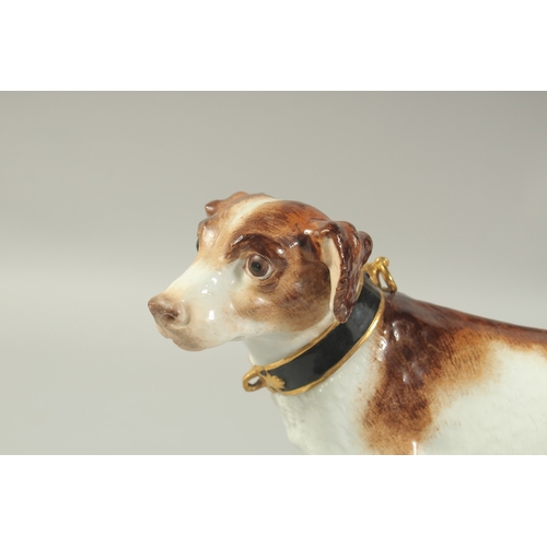 1071 - A MEISSEN MODEL OF A HUNTING DOG first modelled by Gottlob Luck. Circa. 1840.  20cm high. Cross swor... 