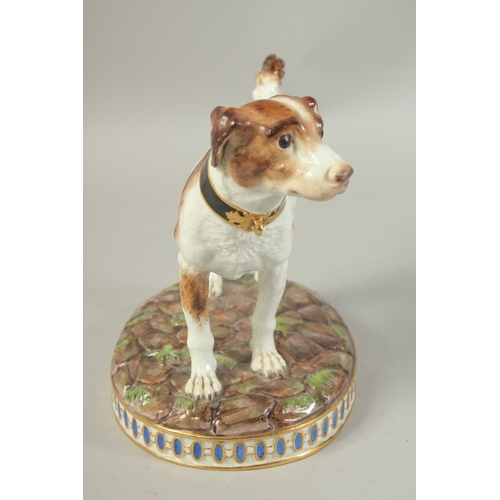 1071 - A MEISSEN MODEL OF A HUNTING DOG first modelled by Gottlob Luck. Circa. 1840.  20cm high. Cross swor... 