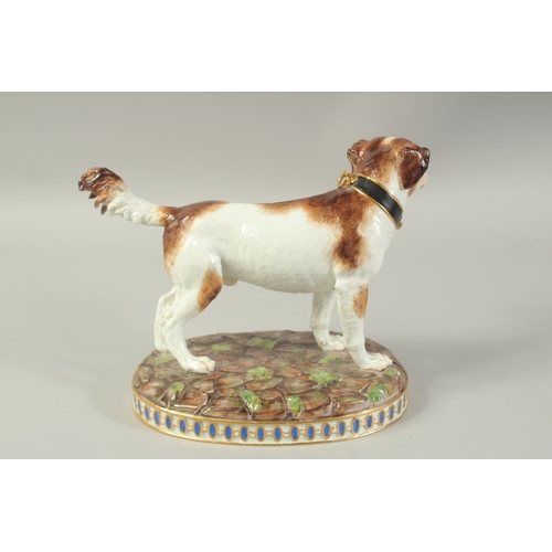 1071 - A MEISSEN MODEL OF A HUNTING DOG first modelled by Gottlob Luck. Circa. 1840.  20cm high. Cross swor... 