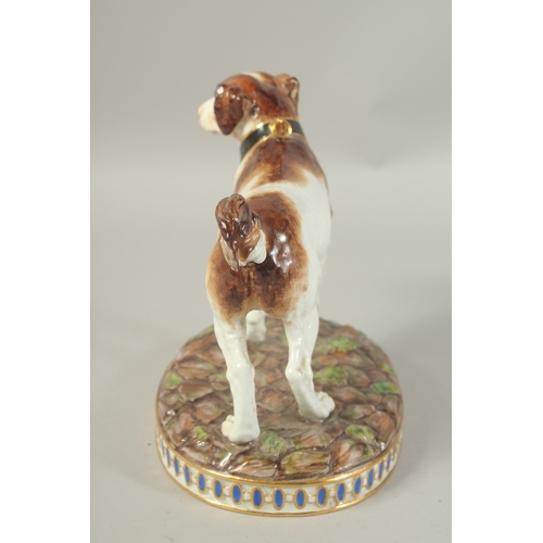 1071 - A MEISSEN MODEL OF A HUNTING DOG first modelled by Gottlob Luck. Circa. 1840.  20cm high. Cross swor... 