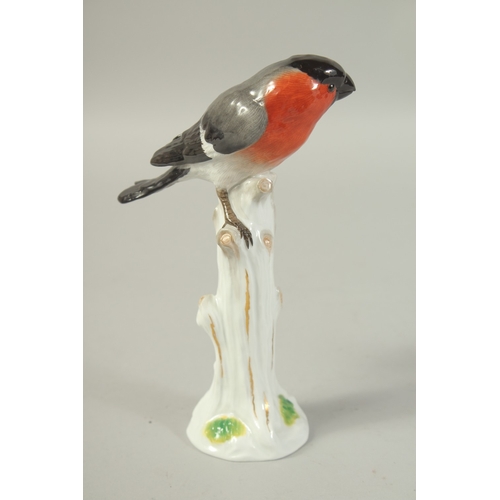 1073 - A MEISSEN BULLFINCH PERCHED ON A TREE STUMP first modelled by  Joachim Kaendler Circa. 1880.  20.3cm... 