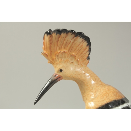 1076A - A MEISSEN HOOPOE, first modelled by Joachim Kaendler. Circa. 1840.  31.2cm high. Cross sword mark in... 