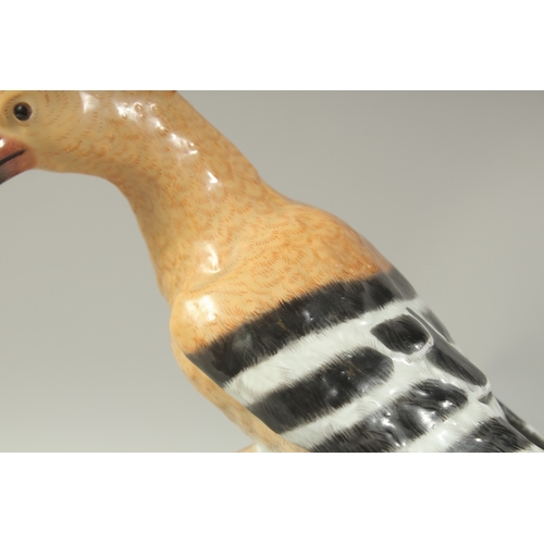 1076A - A MEISSEN HOOPOE, first modelled by Joachim Kaendler. Circa. 1840.  31.2cm high. Cross sword mark in... 