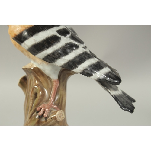 1076A - A MEISSEN HOOPOE, first modelled by Joachim Kaendler. Circa. 1840.  31.2cm high. Cross sword mark in... 