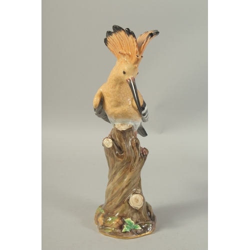 1076A - A MEISSEN HOOPOE, first modelled by Joachim Kaendler. Circa. 1840.  31.2cm high. Cross sword mark in... 