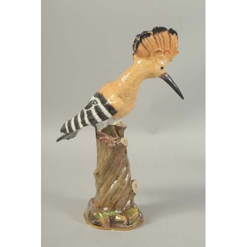 1076A - A MEISSEN HOOPOE, first modelled by Joachim Kaendler. Circa. 1840.  31.2cm high. Cross sword mark in... 