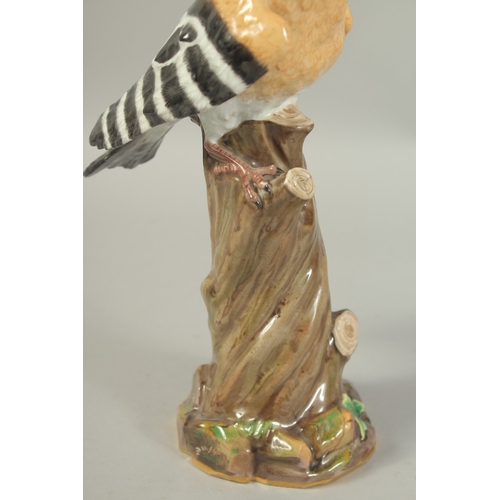 1076A - A MEISSEN HOOPOE, first modelled by Joachim Kaendler. Circa. 1840.  31.2cm high. Cross sword mark in... 