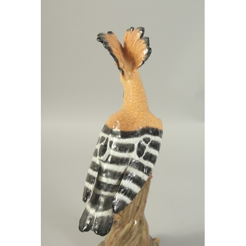 1076A - A MEISSEN HOOPOE, first modelled by Joachim Kaendler. Circa. 1840.  31.2cm high. Cross sword mark in... 