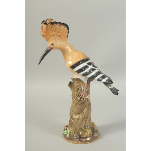 1076A - A MEISSEN HOOPOE, first modelled by Joachim Kaendler. Circa. 1840.  31.2cm high. Cross sword mark in... 