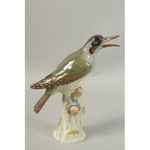 1077 - A MEISSEN GREEN WOODPECKER first modelled by Joachim Kaendler.  Circa. 1880. 26.5cm tall.  Cross swo... 