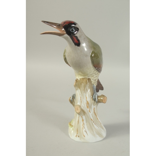 1077 - A MEISSEN GREEN WOODPECKER first modelled by Joachim Kaendler.  Circa. 1880. 26.5cm tall.  Cross swo... 