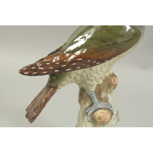 1077 - A MEISSEN GREEN WOODPECKER first modelled by Joachim Kaendler.  Circa. 1880. 26.5cm tall.  Cross swo... 