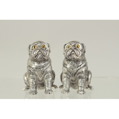 1462 - A PAIR OF SILVER PLATED DOG SALT AND PEPPERS. 1.75ins.