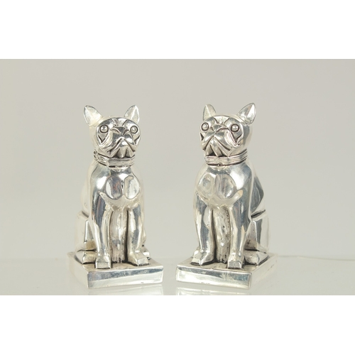 1464 - A PAIR OF SILVER PLATED BULL DOG SALT AND PEPPERS.