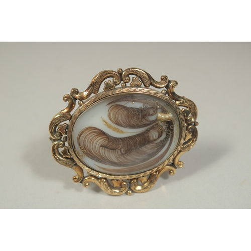 1482 - A VICTORIAN BROOCH inset with hair and seed pearls. Inscribed and dated ,1847.