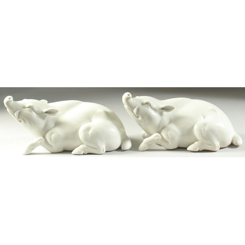 98 - TWO JAPANESE HIRADO PORCELAIN WILD BOAR, with finely carved fur detail, each 25cm long.