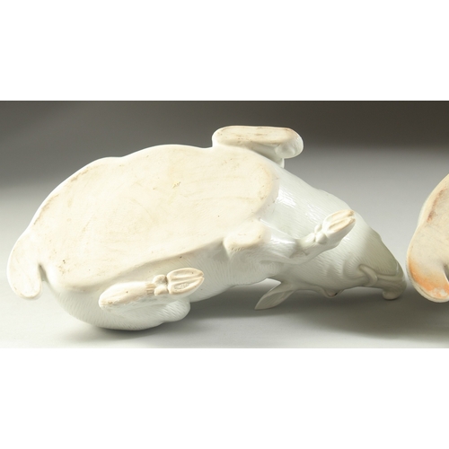 98 - TWO JAPANESE HIRADO PORCELAIN WILD BOAR, with finely carved fur detail, each 25cm long.