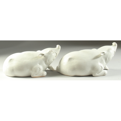 98 - TWO JAPANESE HIRADO PORCELAIN WILD BOAR, with finely carved fur detail, each 25cm long.