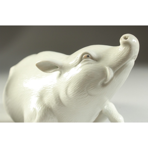 98 - TWO JAPANESE HIRADO PORCELAIN WILD BOAR, with finely carved fur detail, each 25cm long.